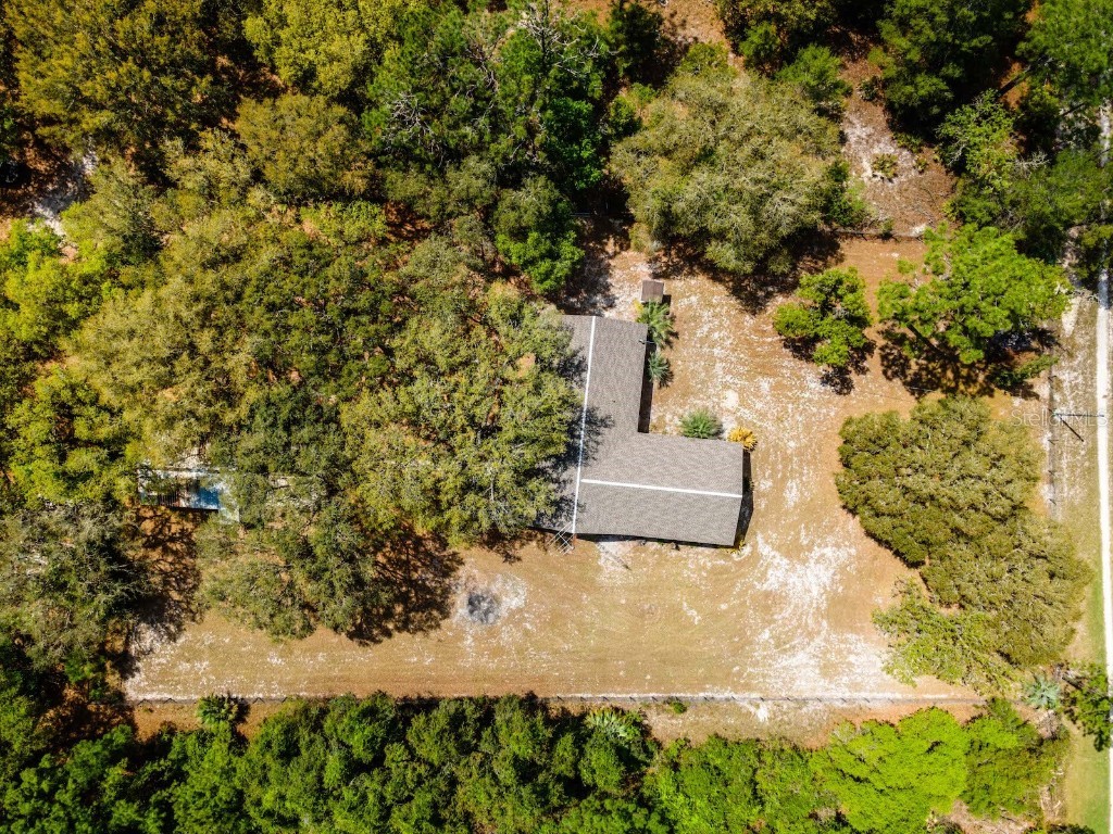 13455 NE 228th Lane Road Fort Mc Coy FL 32134 OM699065 image43