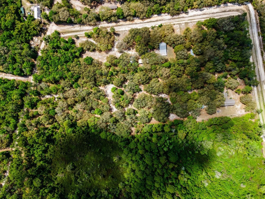 13455 NE 228th Lane Road Fort Mc Coy FL 32134 OM699065 image44