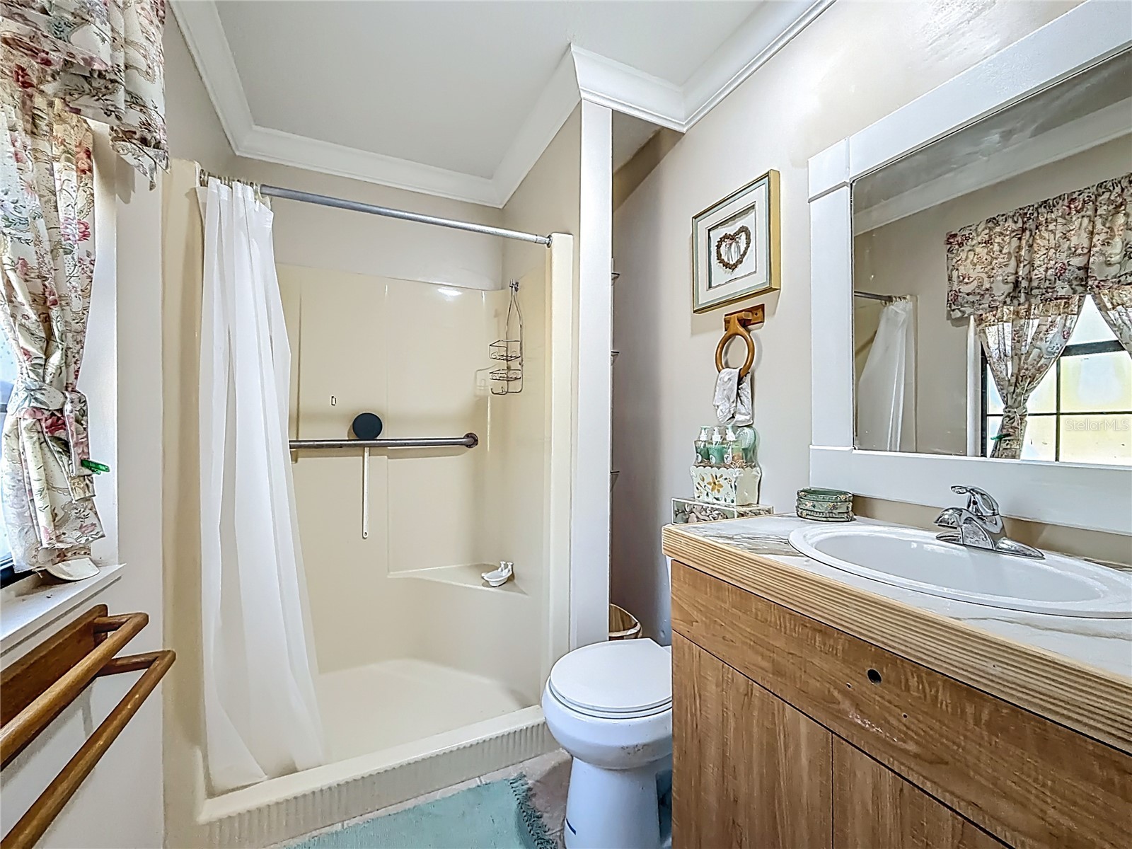 13455 NE 228th Lane Road Fort Mc Coy FL 32134 OM719863 image40