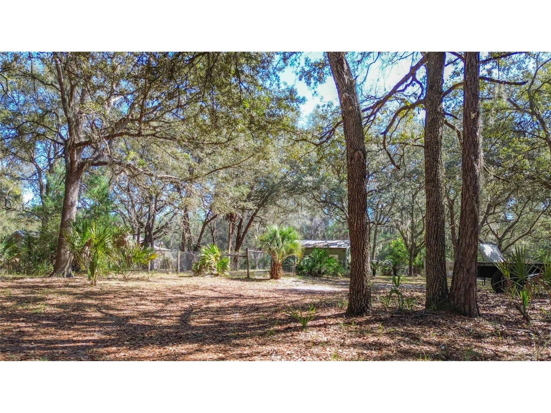 13455 NE 228th Lane Road Fort Mc Coy FL 32134 OM719863 image5