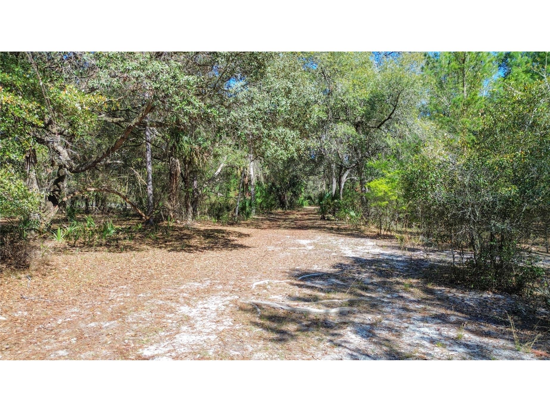 13455 NE 228th Lane Road Fort Mc Coy FL 32134 OM719863 image57