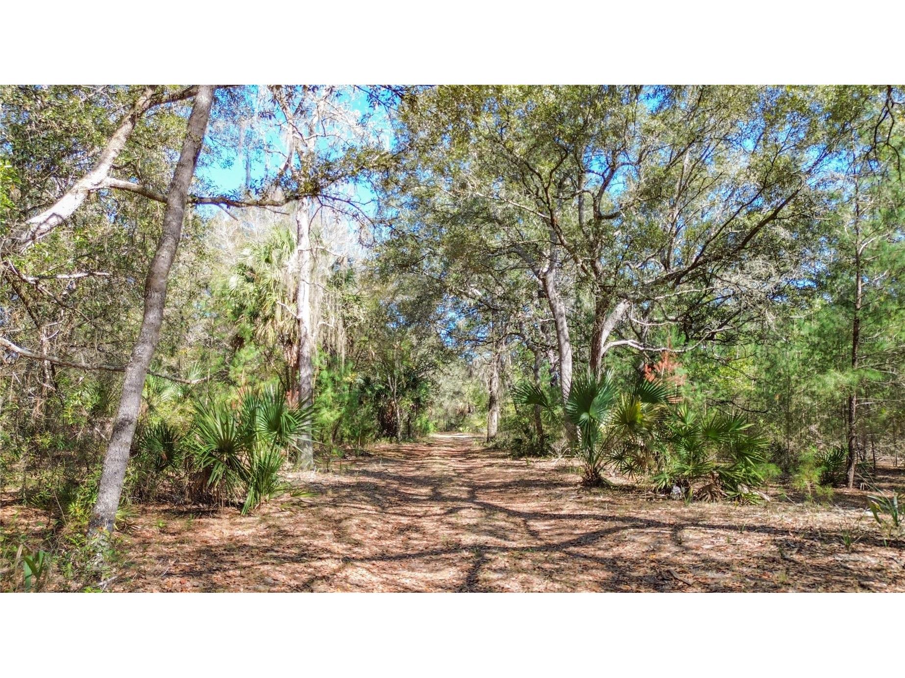 13455 NE 228th Lane Road Fort Mc Coy FL 32134 OM719863 image58