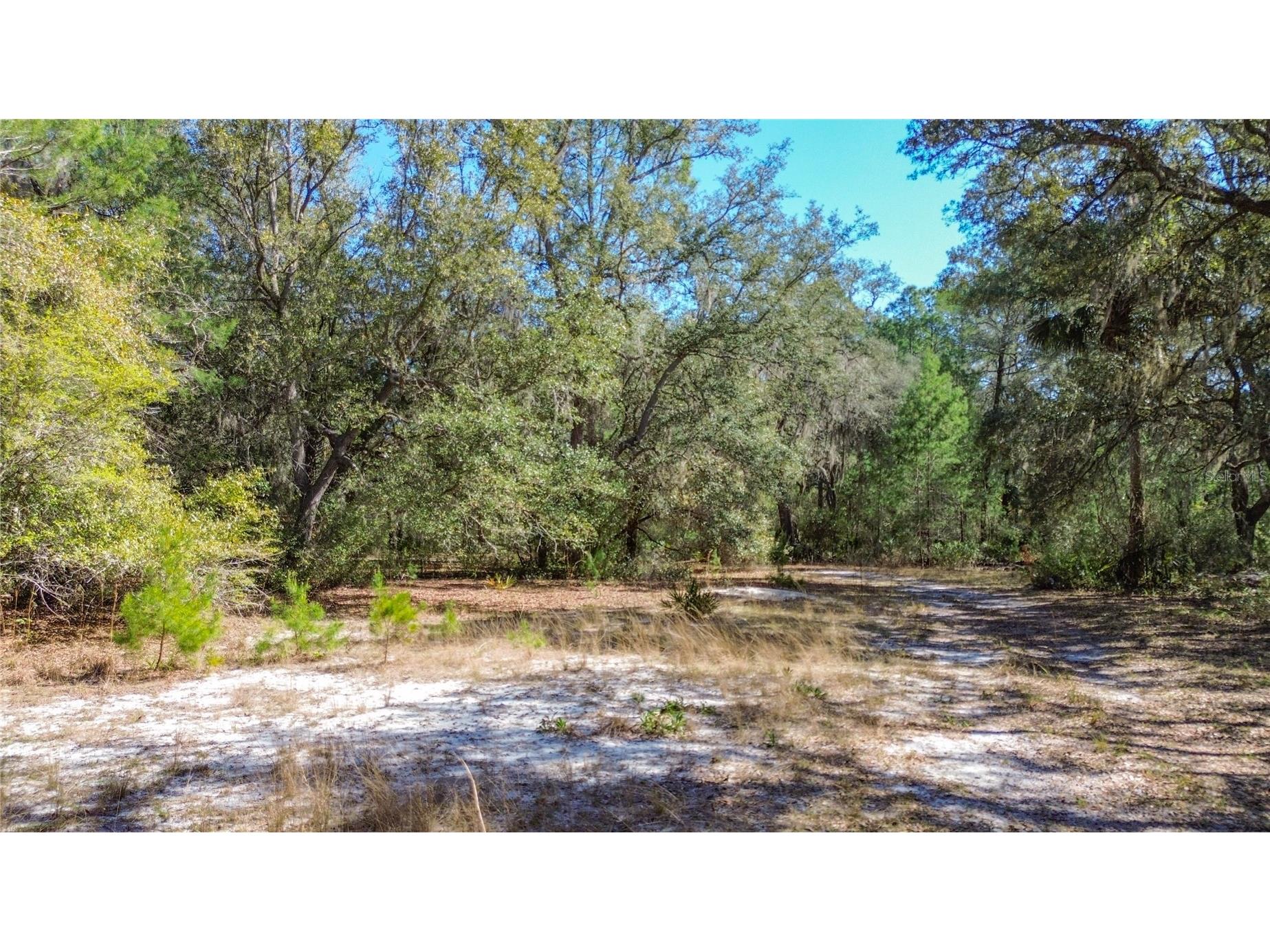 13455 NE 228th Lane Road Fort Mc Coy FL 32134 OM719863 image59