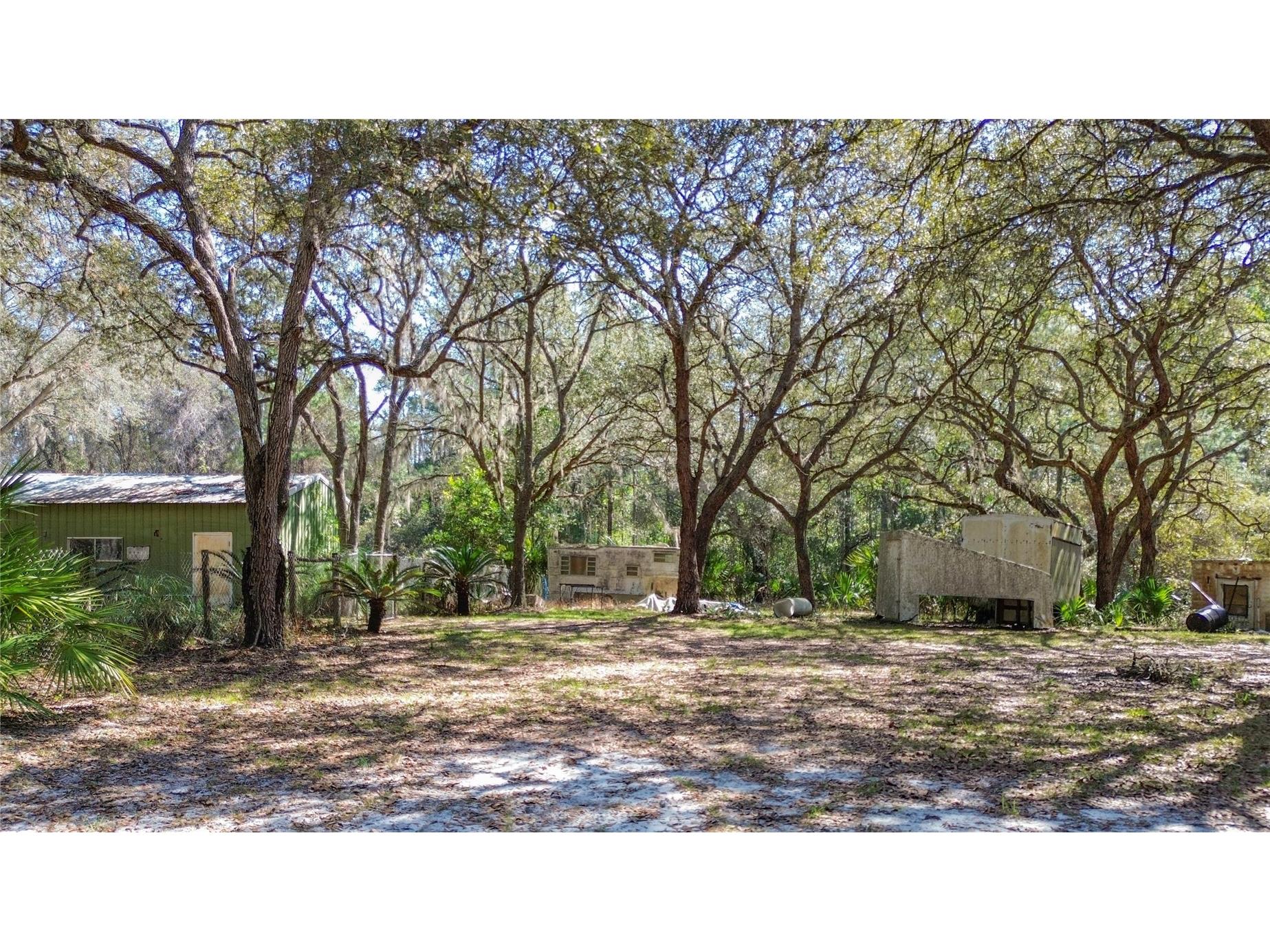 13455 NE 228th Lane Road Fort Mc Coy FL 32134 OM719863 image6