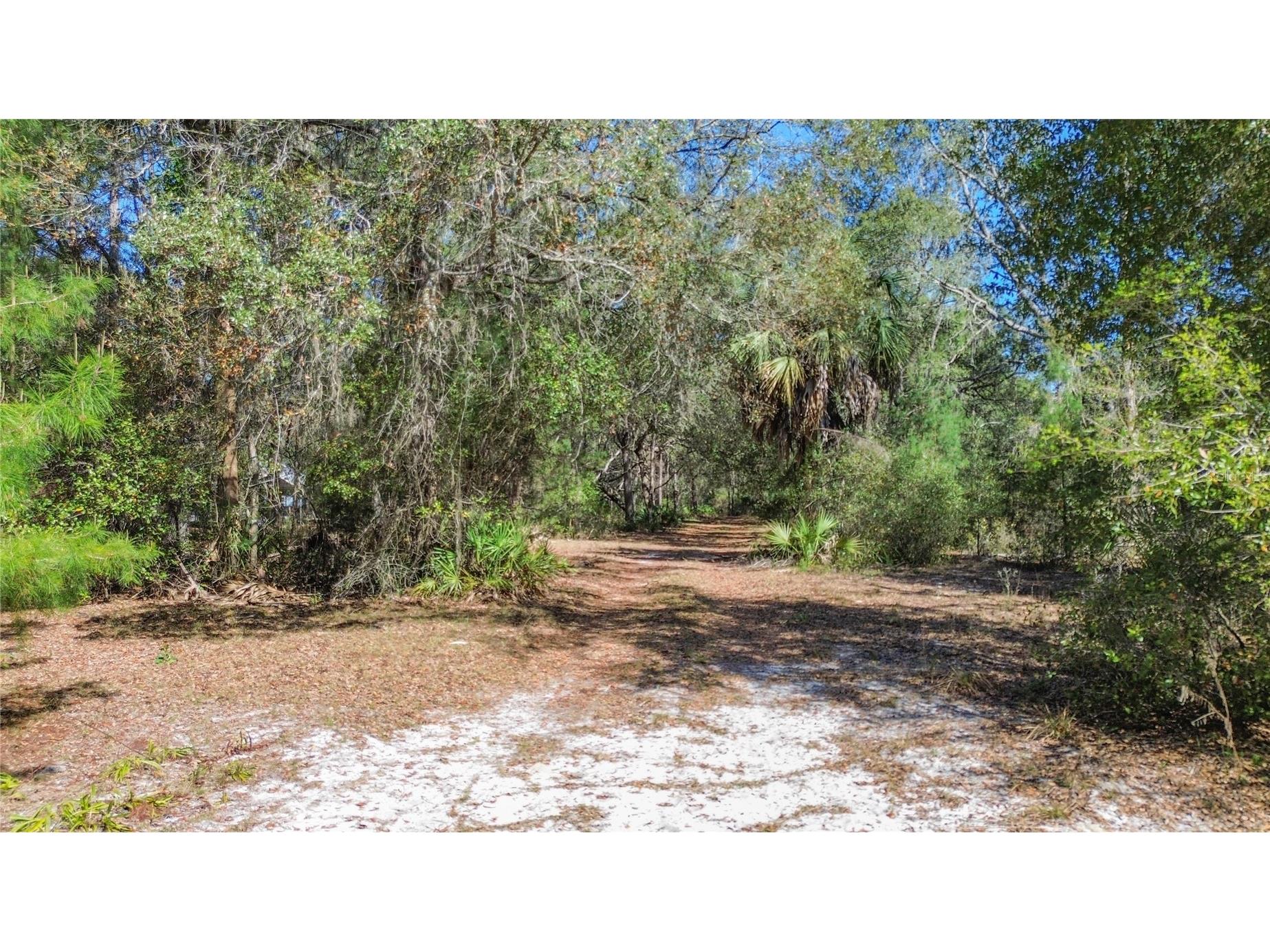 13455 NE 228th Lane Road Fort Mc Coy FL 32134 OM719863 image60