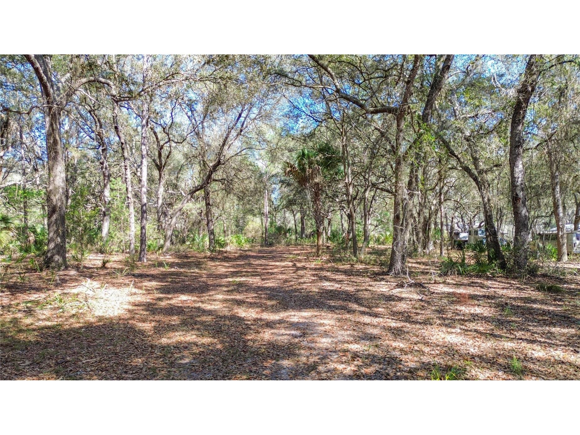 13455 NE 228th Lane Road Fort Mc Coy FL 32134 OM719863 image61