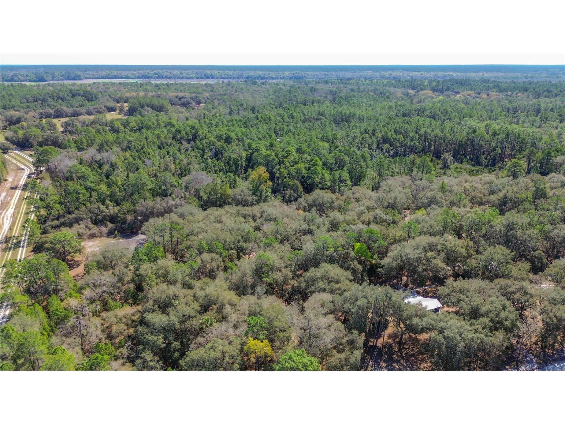 13455 NE 228th Lane Road Fort Mc Coy FL 32134 OM719863 image65