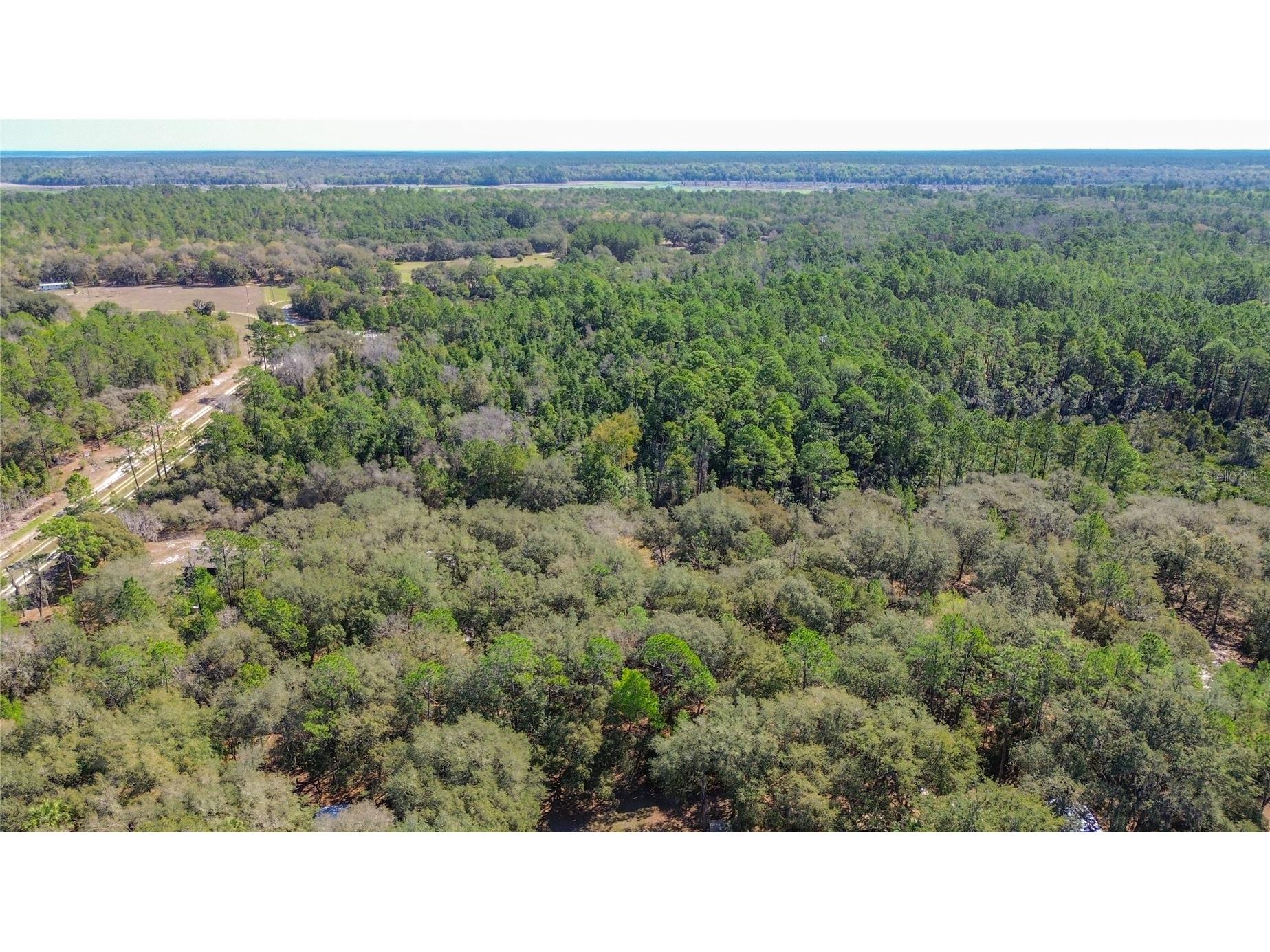 13455 NE 228th Lane Road Fort Mc Coy FL 32134 OM719863 image66