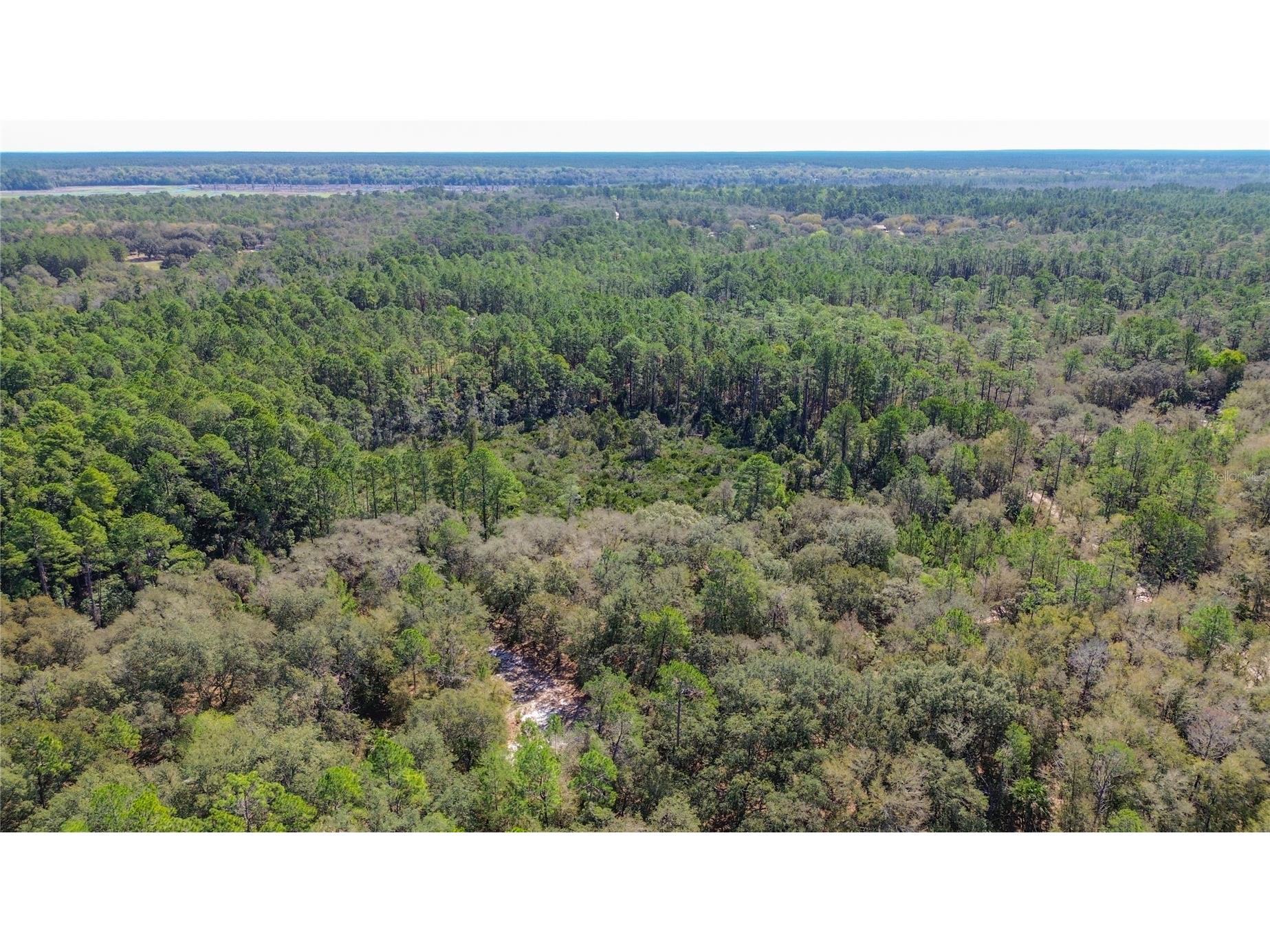 13455 NE 228th Lane Road Fort Mc Coy FL 32134 OM719863 image68