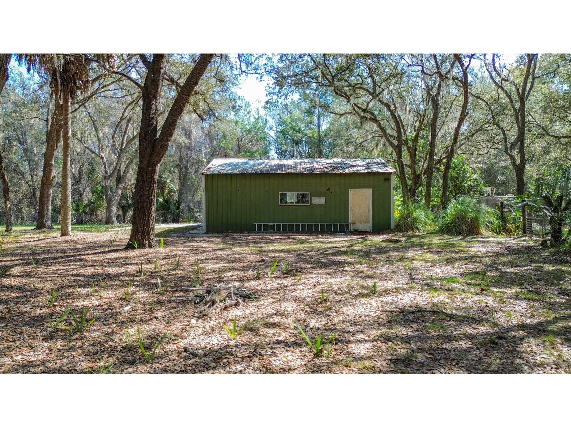 13455 NE 228th Lane Road Fort Mc Coy FL 32134 OM719863 image9