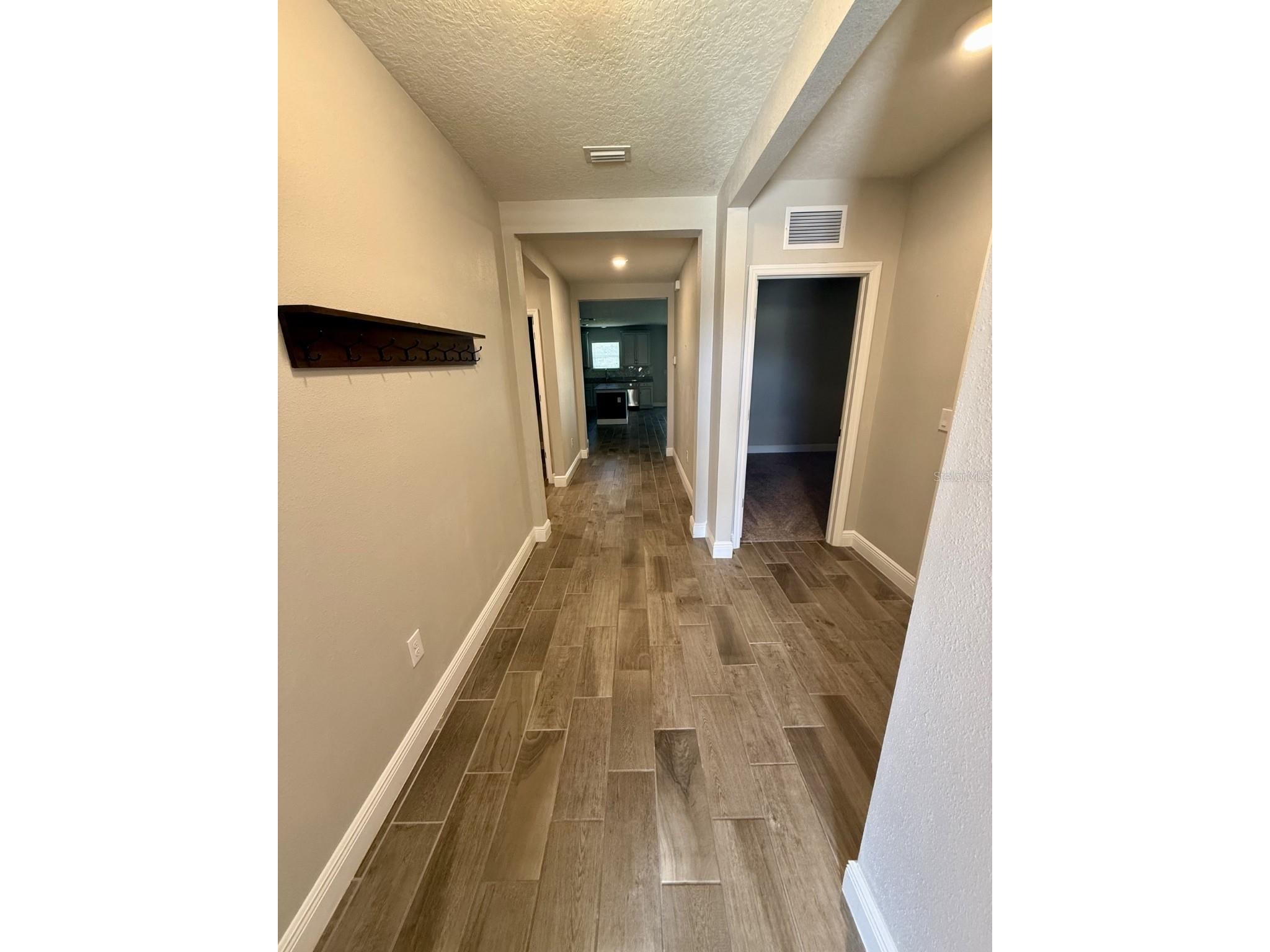 13456 Palmera Vista Drive Riverview FL 33579 TB8510143 image11