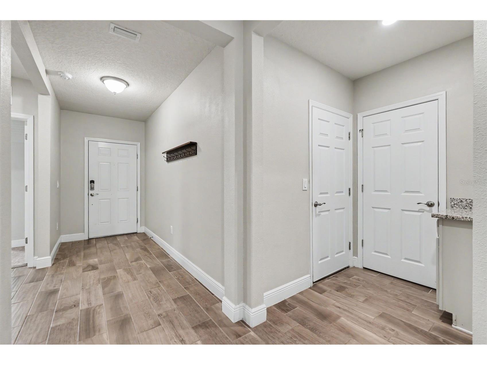 13456 Palmera Vista Drive Riverview FL 33579 TB8524039 image14