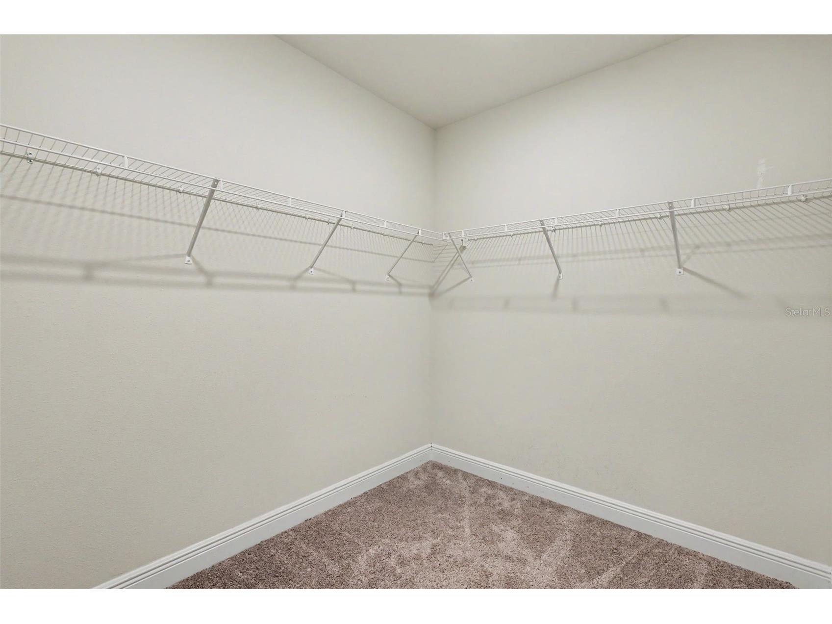 13456 Palmera Vista Drive Riverview FL 33579 TB8524039 image35
