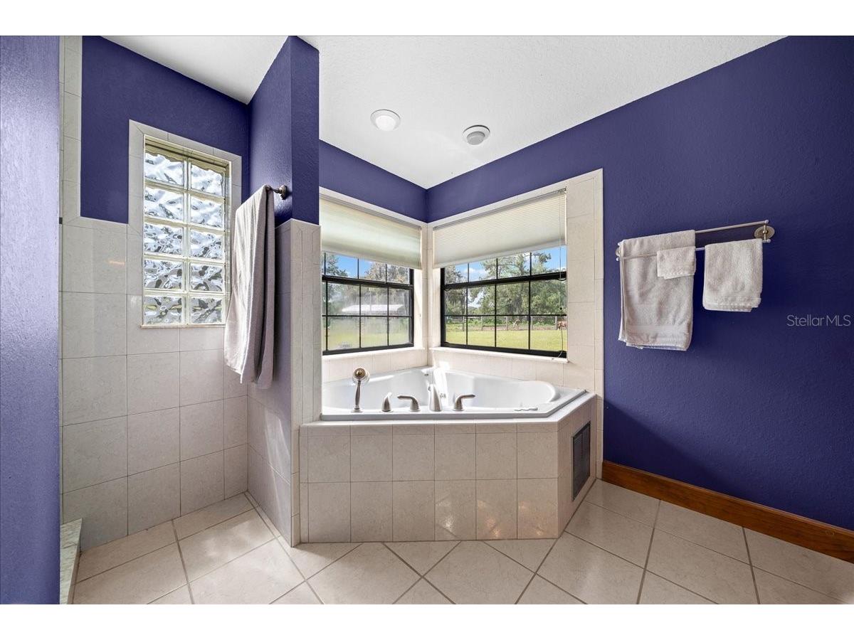 13456 W Highway 318 Williston FL 32696 OM722269 image16