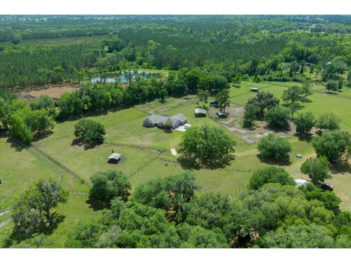 13456 W Highway 318 Williston FL 32696 OM722269 image29