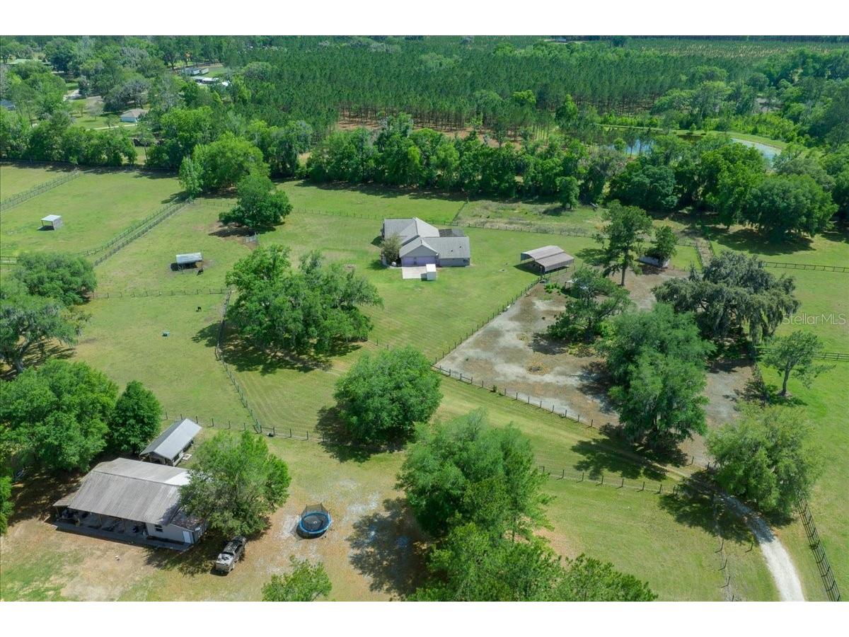 13456 W Highway 318 Williston FL 32696 OM722269 image33
