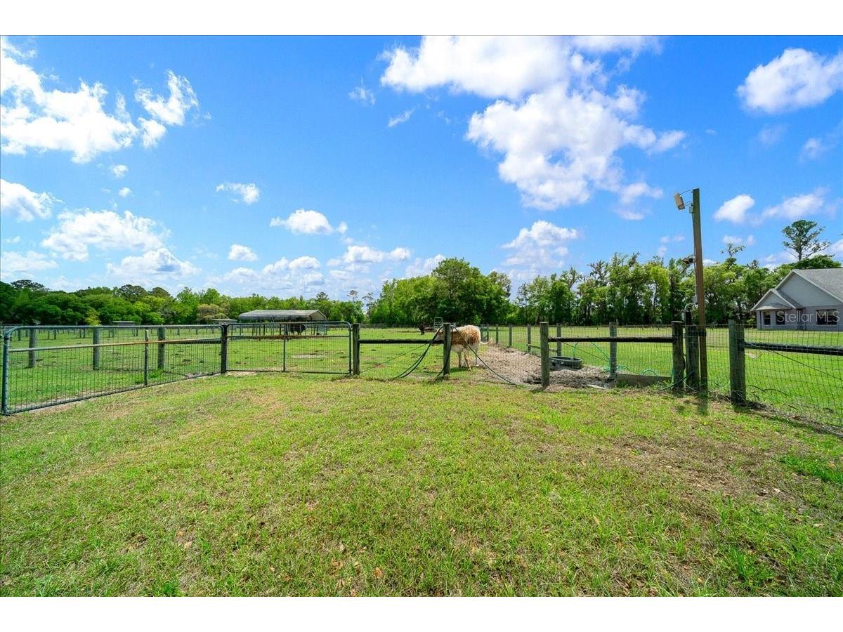 13456 W Highway 318 Williston FL 32696 OM722269 image48