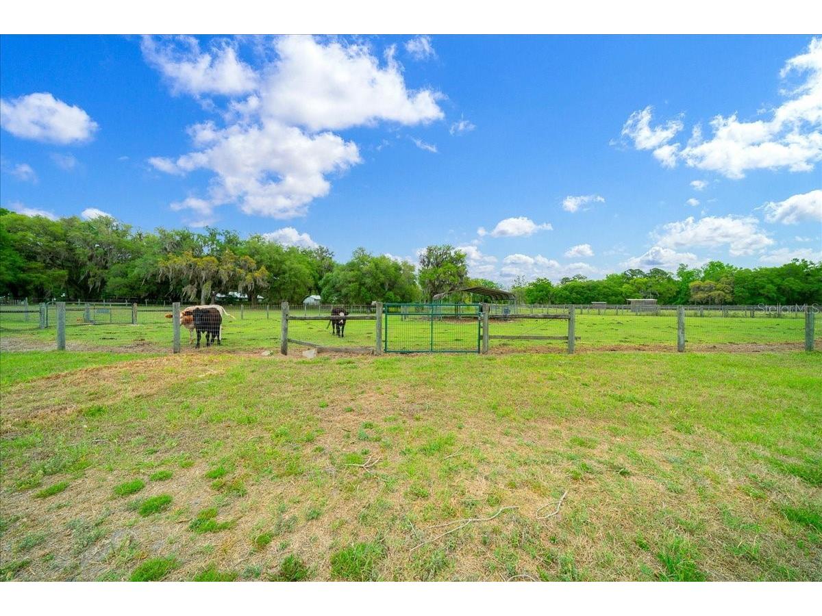 13456 W Highway 318 Williston FL 32696 OM722269 image52