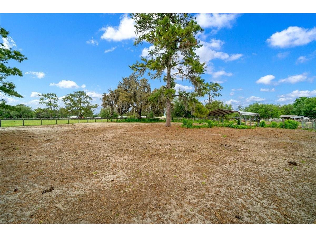 13456 W Highway 318 Williston FL 32696 OM722269 image55
