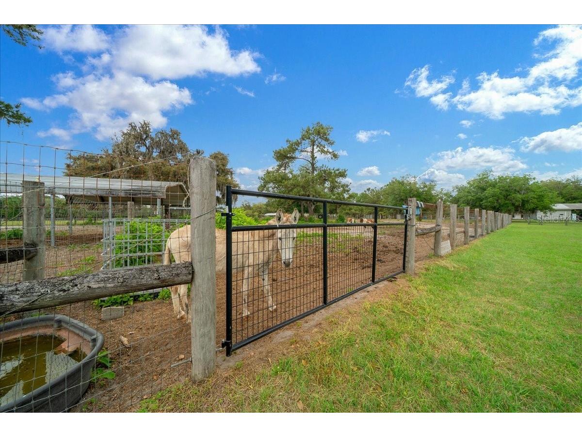 13456 W Highway 318 Williston FL 32696 OM722269 image57