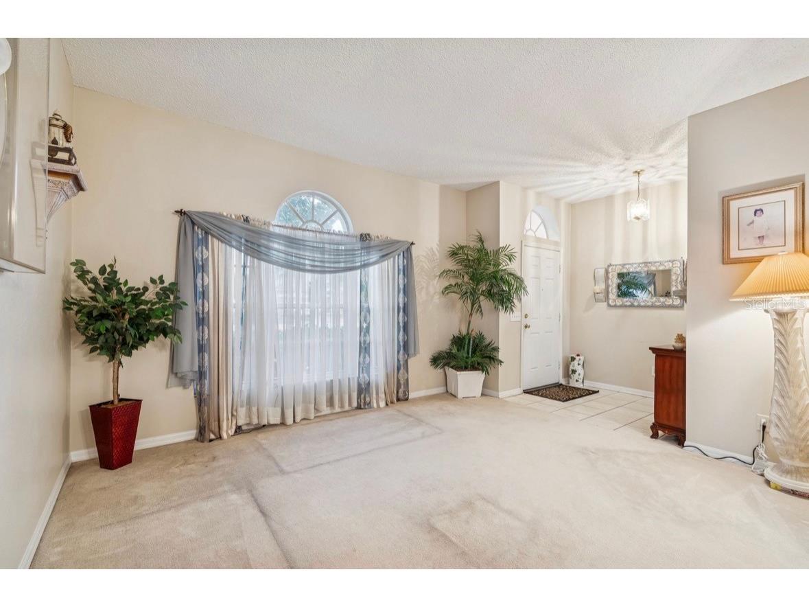 1346 Brooke View Drive Odessa FL 33556 TB8481765 image10