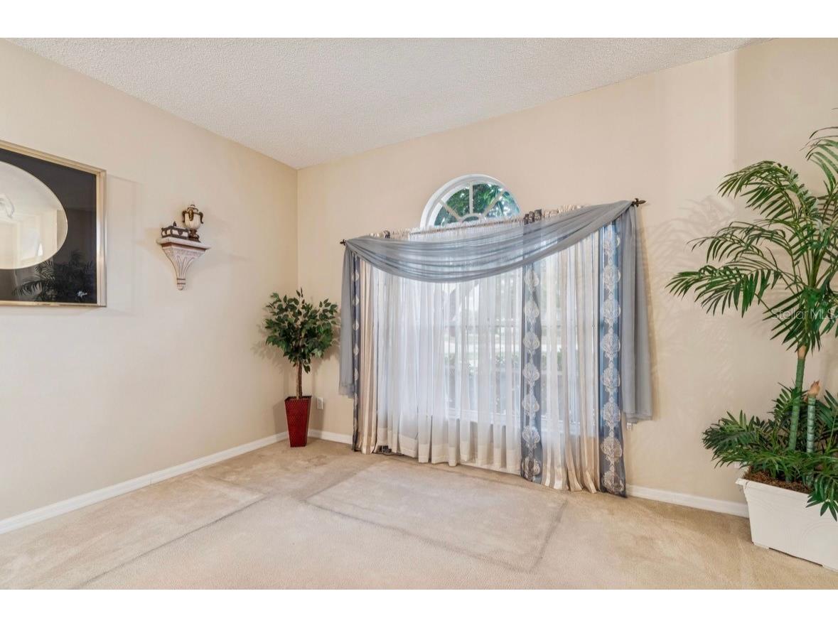 1346 Brooke View Drive Odessa FL 33556 TB8481765 image11