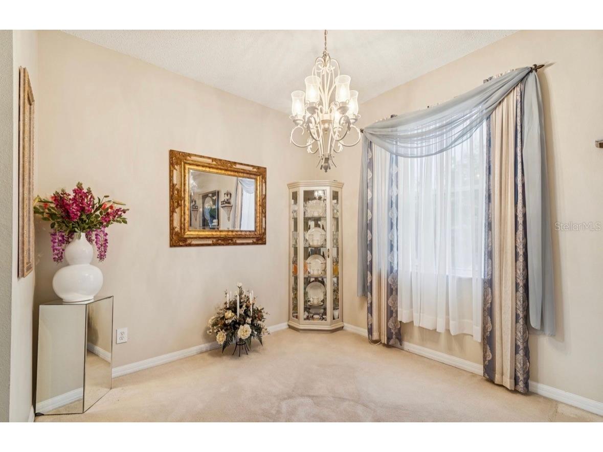 1346 Brooke View Drive Odessa FL 33556 TB8481765 image12