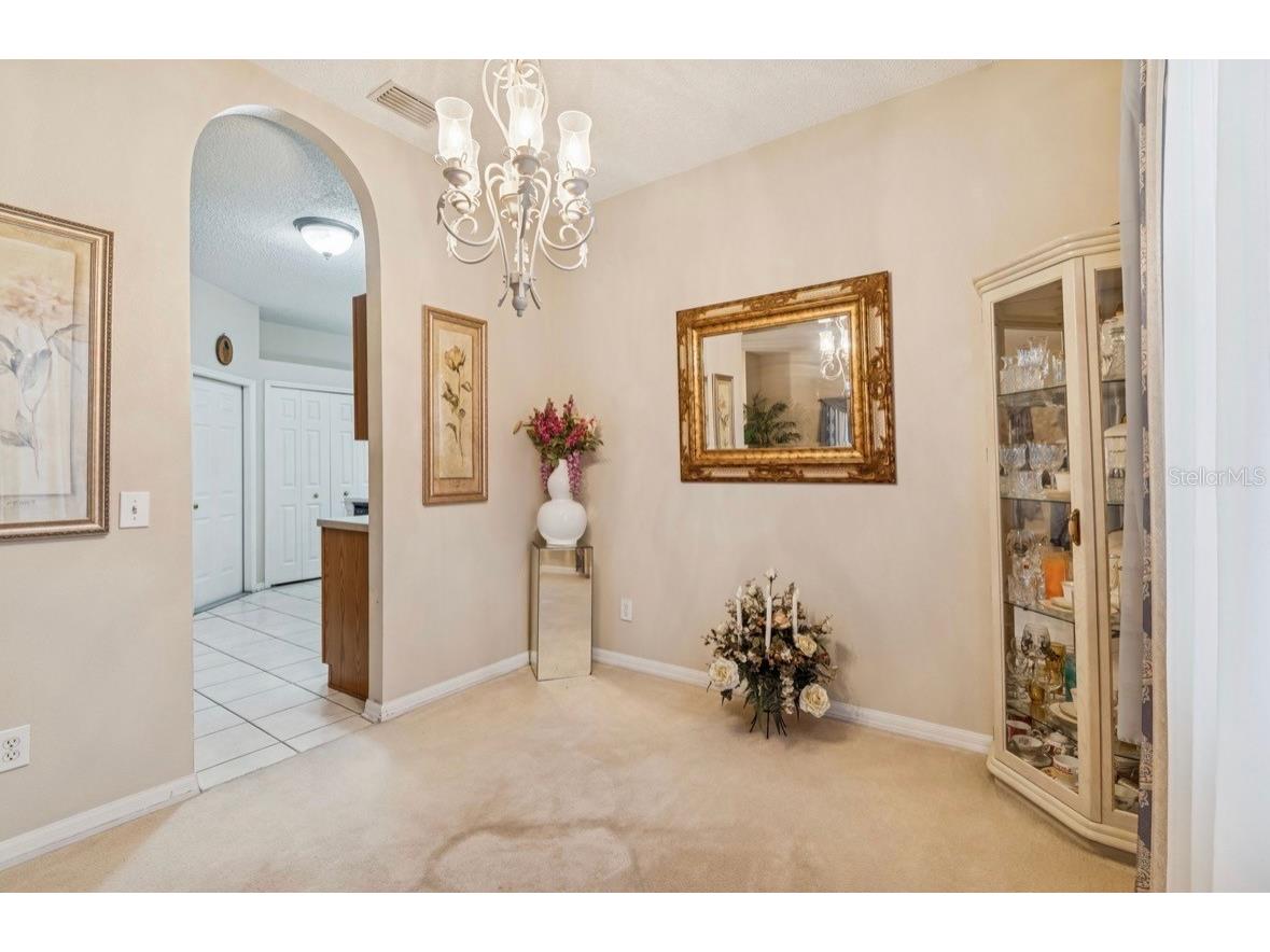 1346 Brooke View Drive Odessa FL 33556 TB8481765 image13