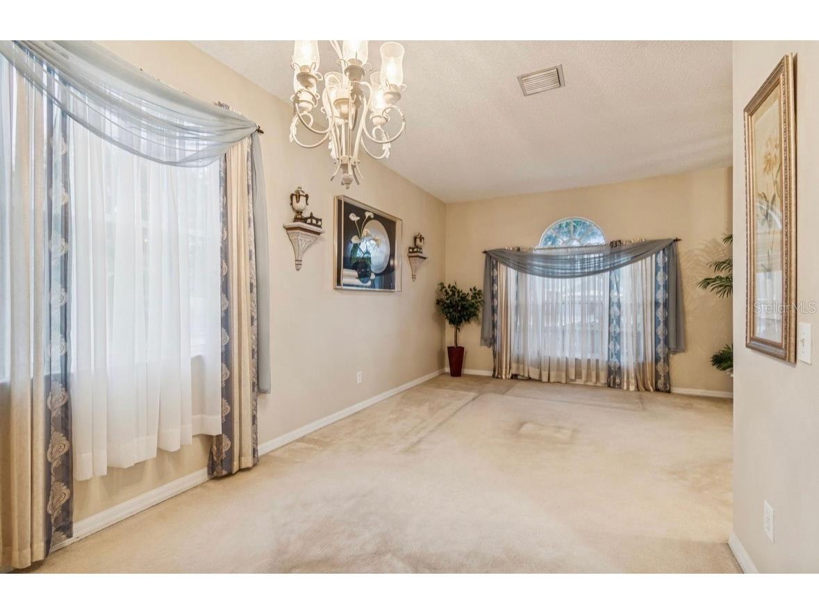 1346 Brooke View Drive Odessa FL 33556 TB8481765 image15