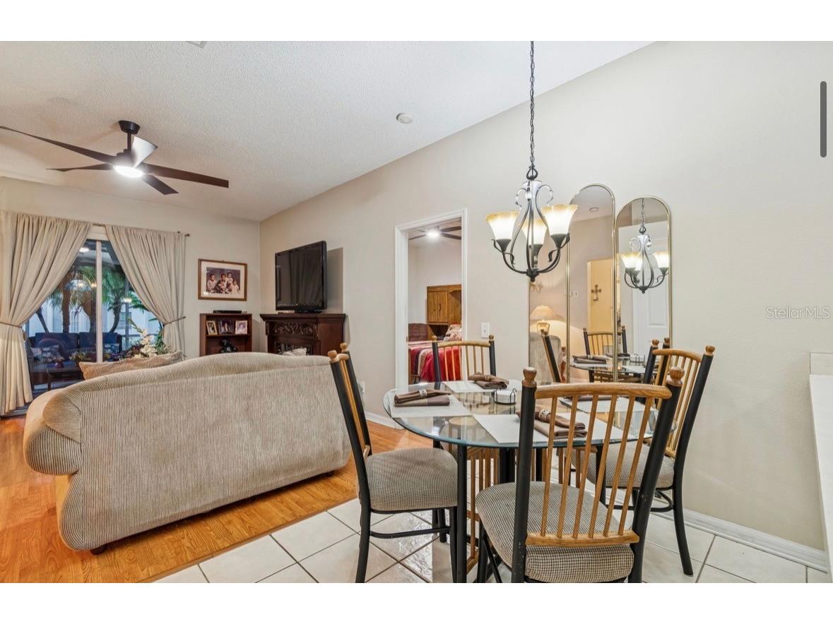 1346 Brooke View Drive Odessa FL 33556 TB8481765 image17