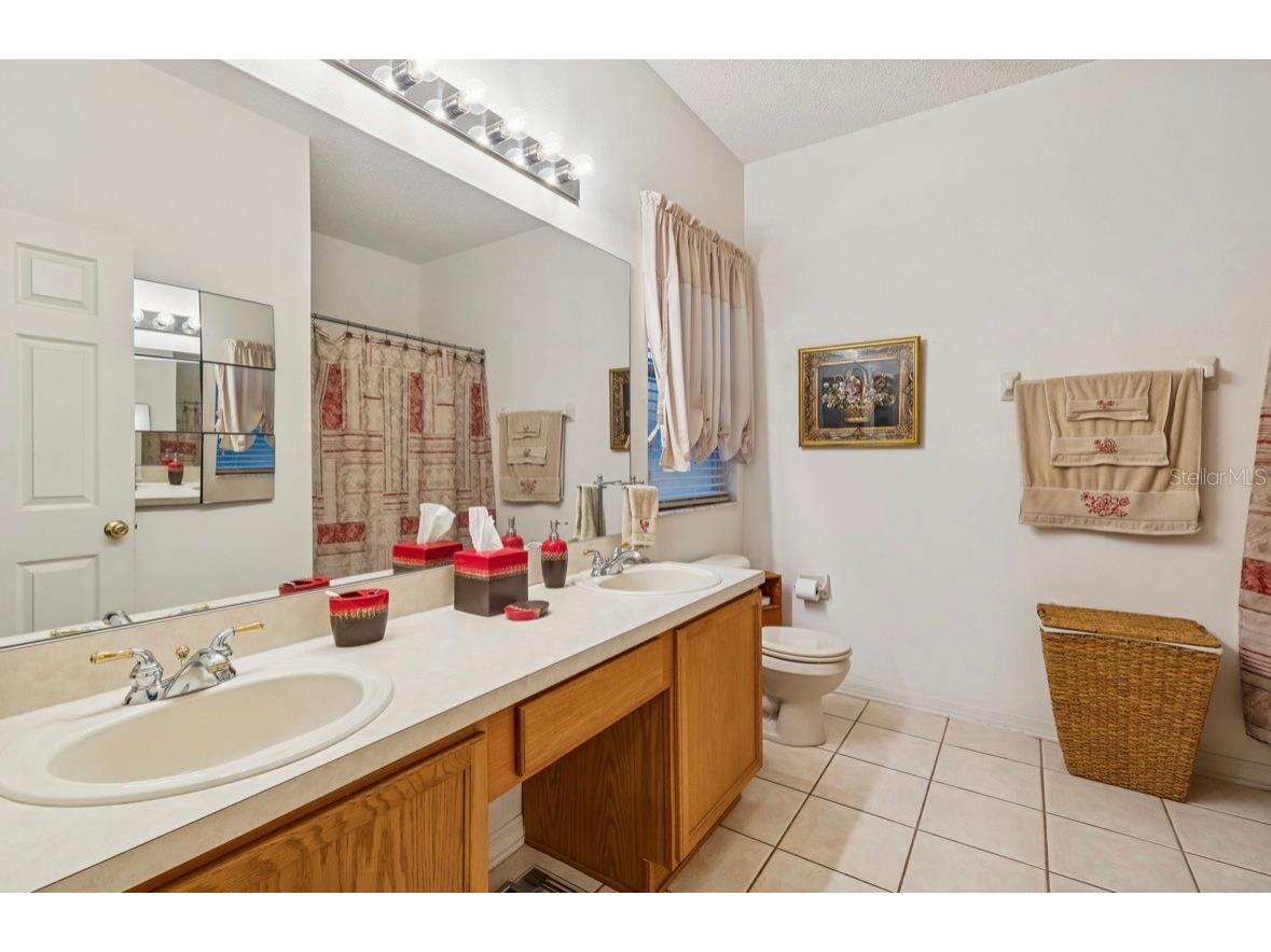 1346 Brooke View Drive Odessa FL 33556 TB8481765 image26