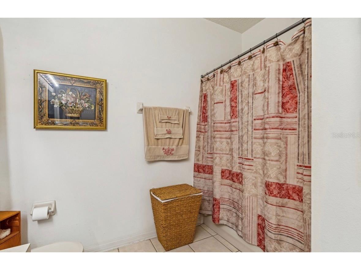 1346 Brooke View Drive Odessa FL 33556 TB8481765 image27