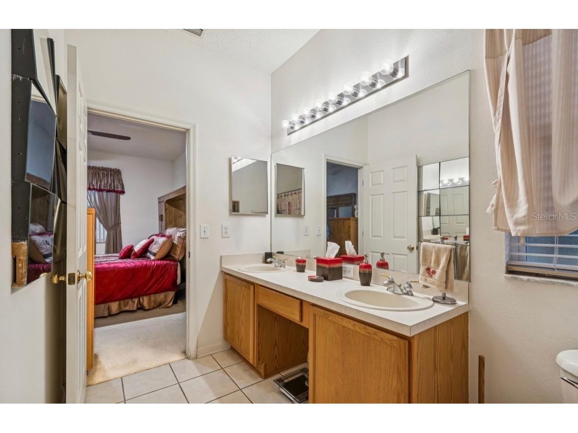 1346 Brooke View Drive Odessa FL 33556 TB8481765 image28