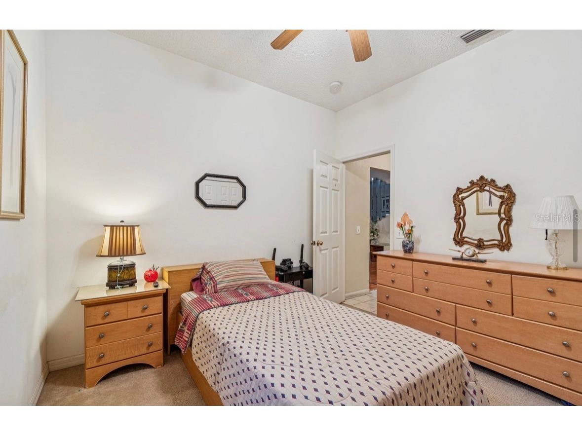 1346 Brooke View Drive Odessa FL 33556 TB8481765 image29