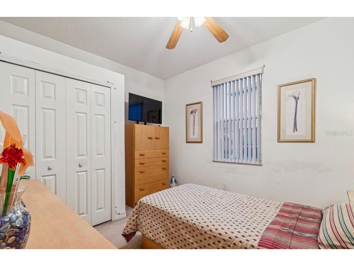 1346 Brooke View Drive Odessa FL 33556 TB8481765 image30