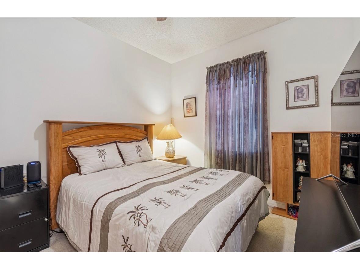 1346 Brooke View Drive Odessa FL 33556 TB8481765 image32