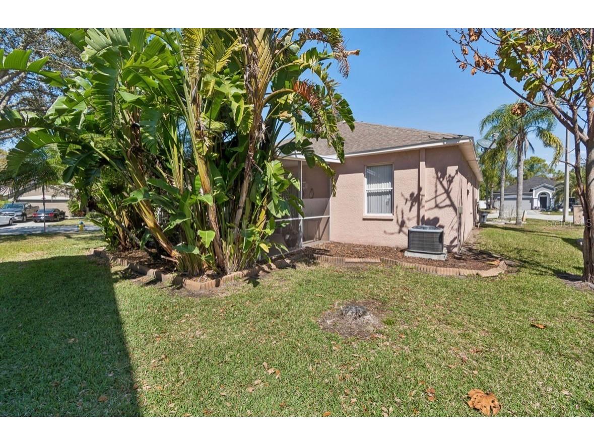 1346 Brooke View Drive Odessa FL 33556 TB8481765 image39