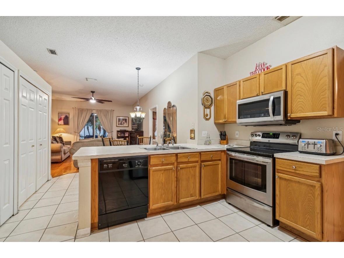 1346 Brooke View Drive Odessa FL 33556 TB8481765 image4