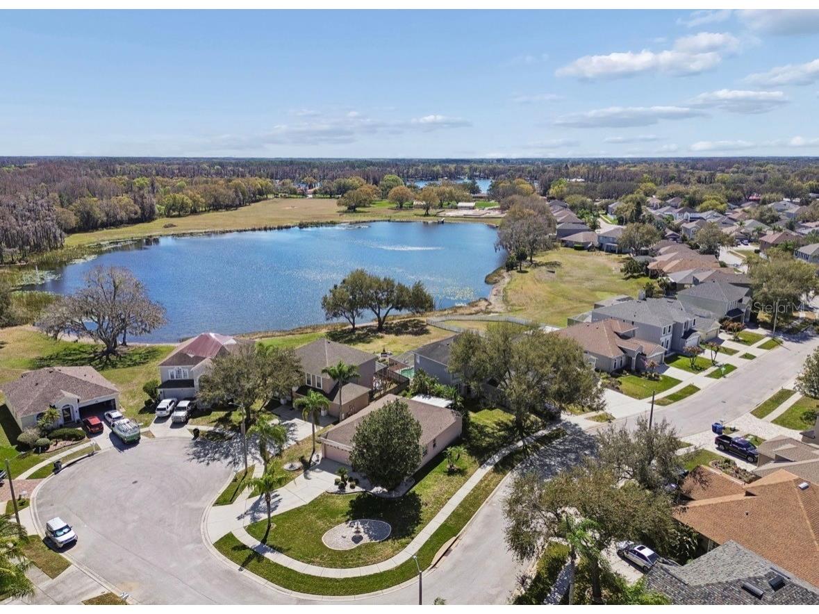 1346 Brooke View Drive Odessa FL 33556 TB8481765 image46