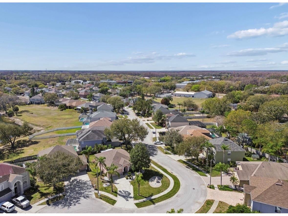 1346 Brooke View Drive Odessa FL 33556 TB8481765 image48