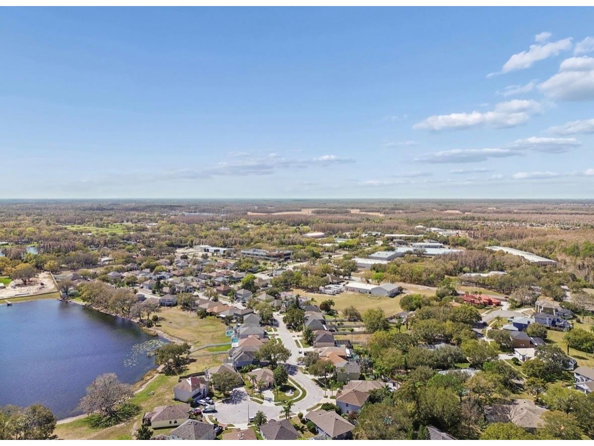 1346 Brooke View Drive Odessa FL 33556 TB8481765 image49