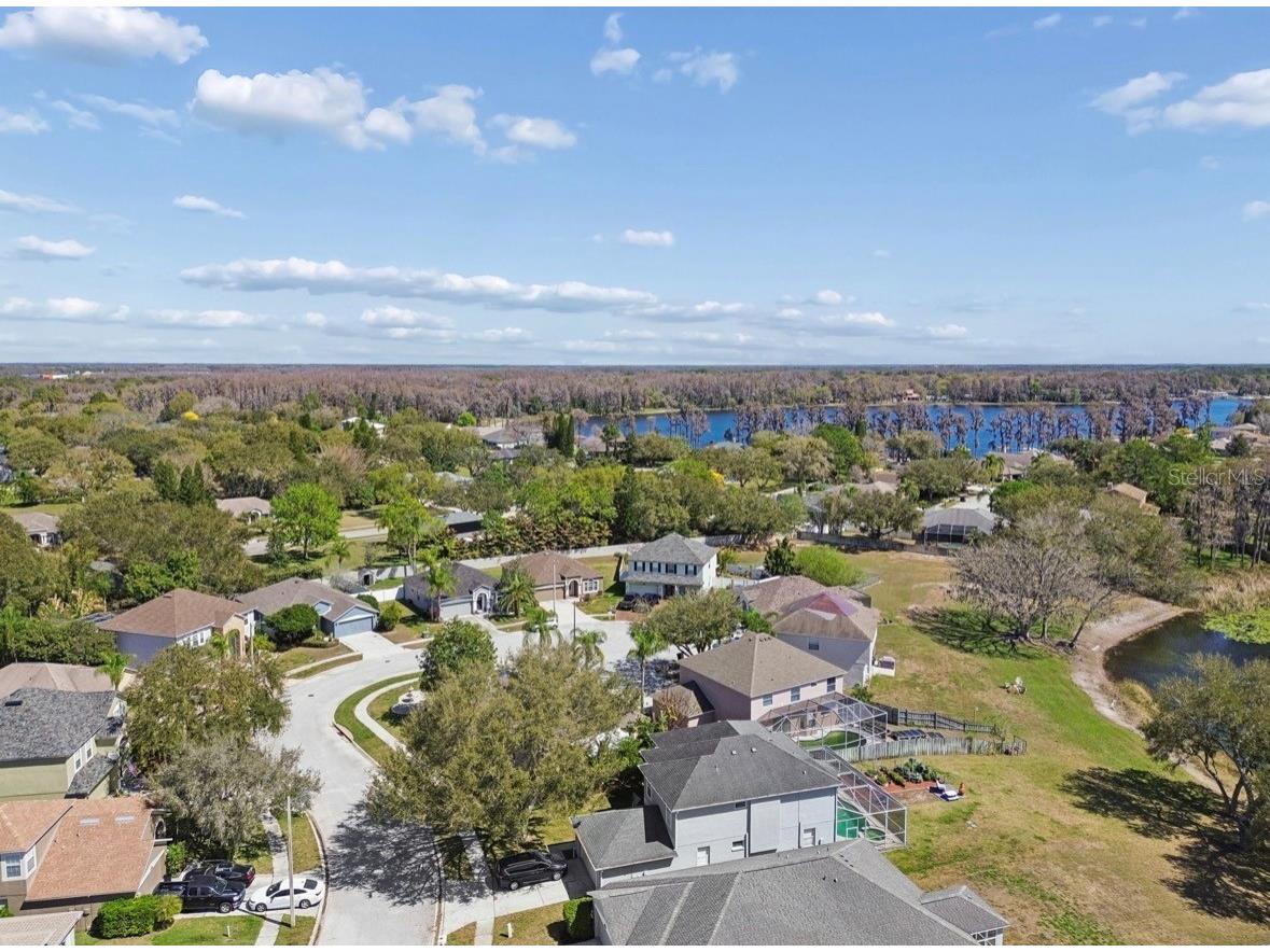 1346 Brooke View Drive Odessa FL 33556 TB8481765 image51