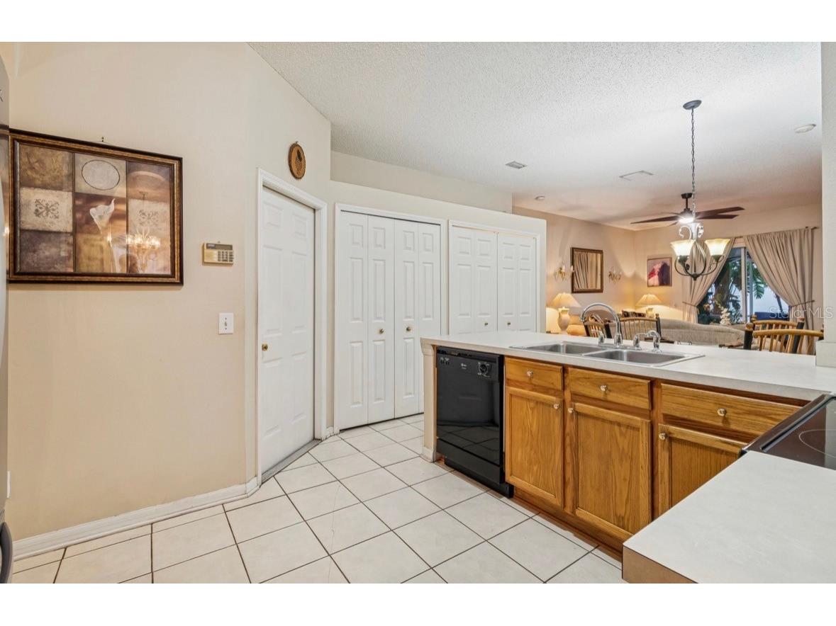 1346 Brooke View Drive Odessa FL 33556 TB8481765 image7