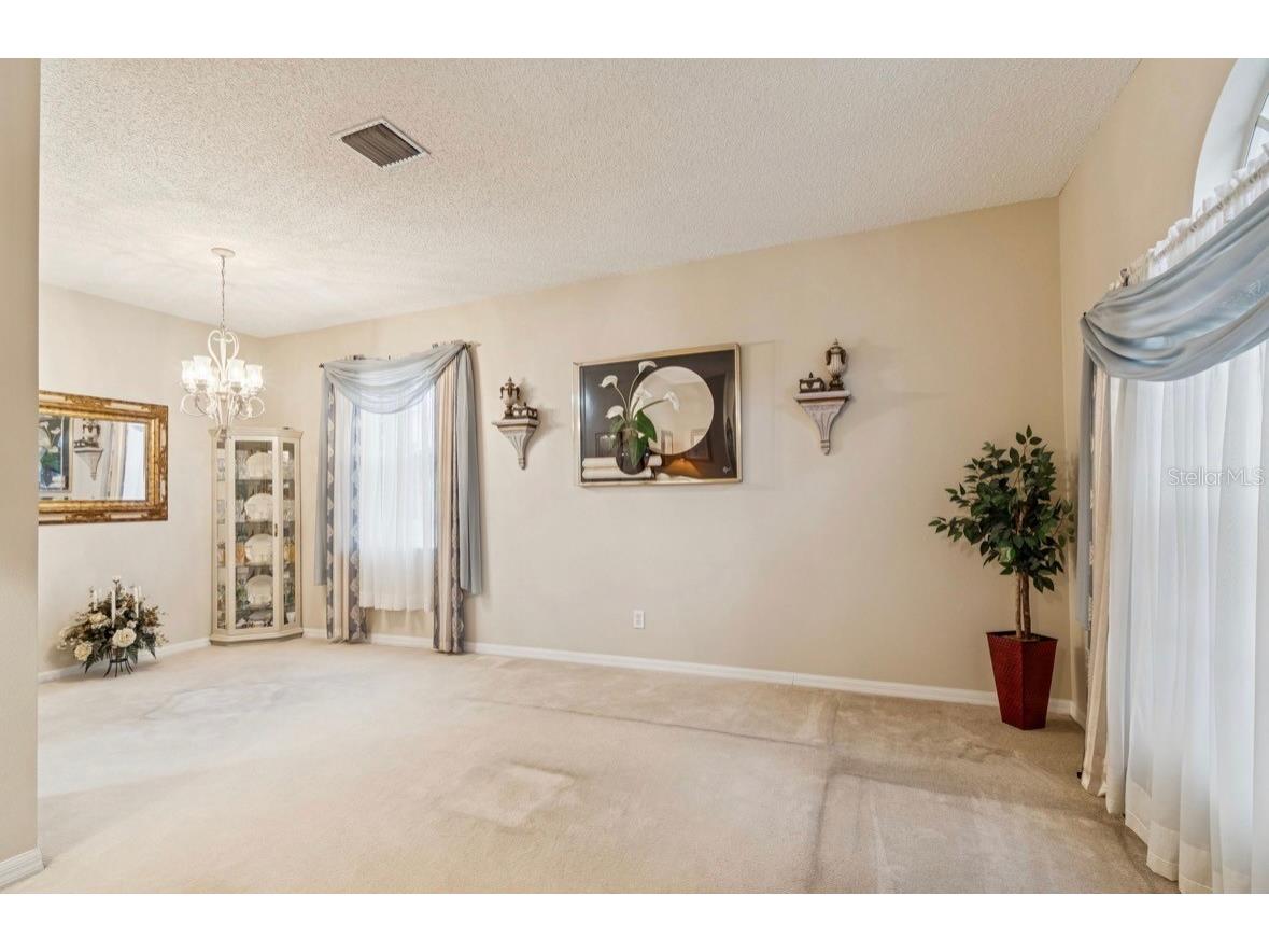 1346 Brooke View Drive Odessa FL 33556 TB8481765 image8