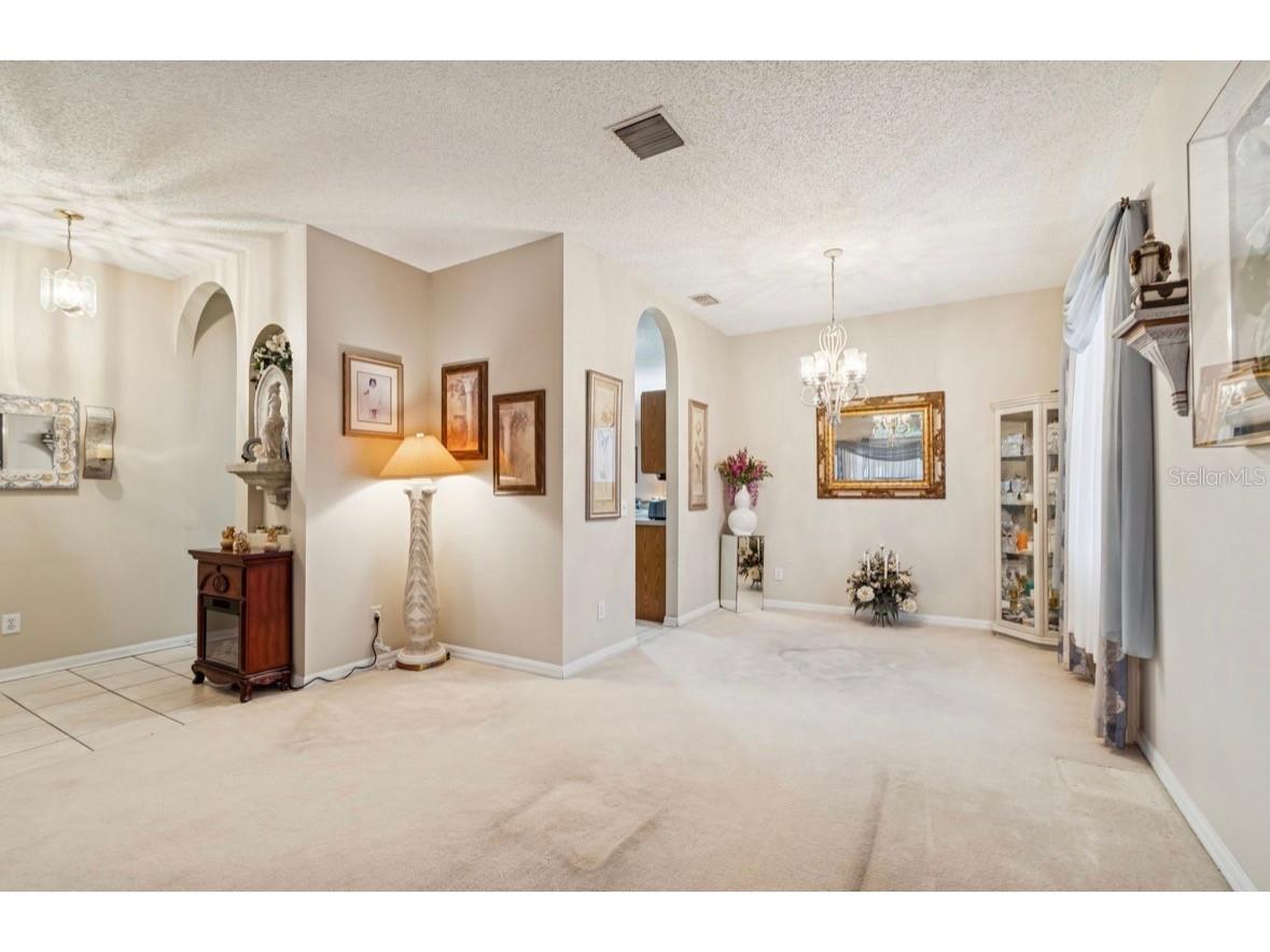 1346 Brooke View Drive Odessa FL 33556 TB8481765 image9