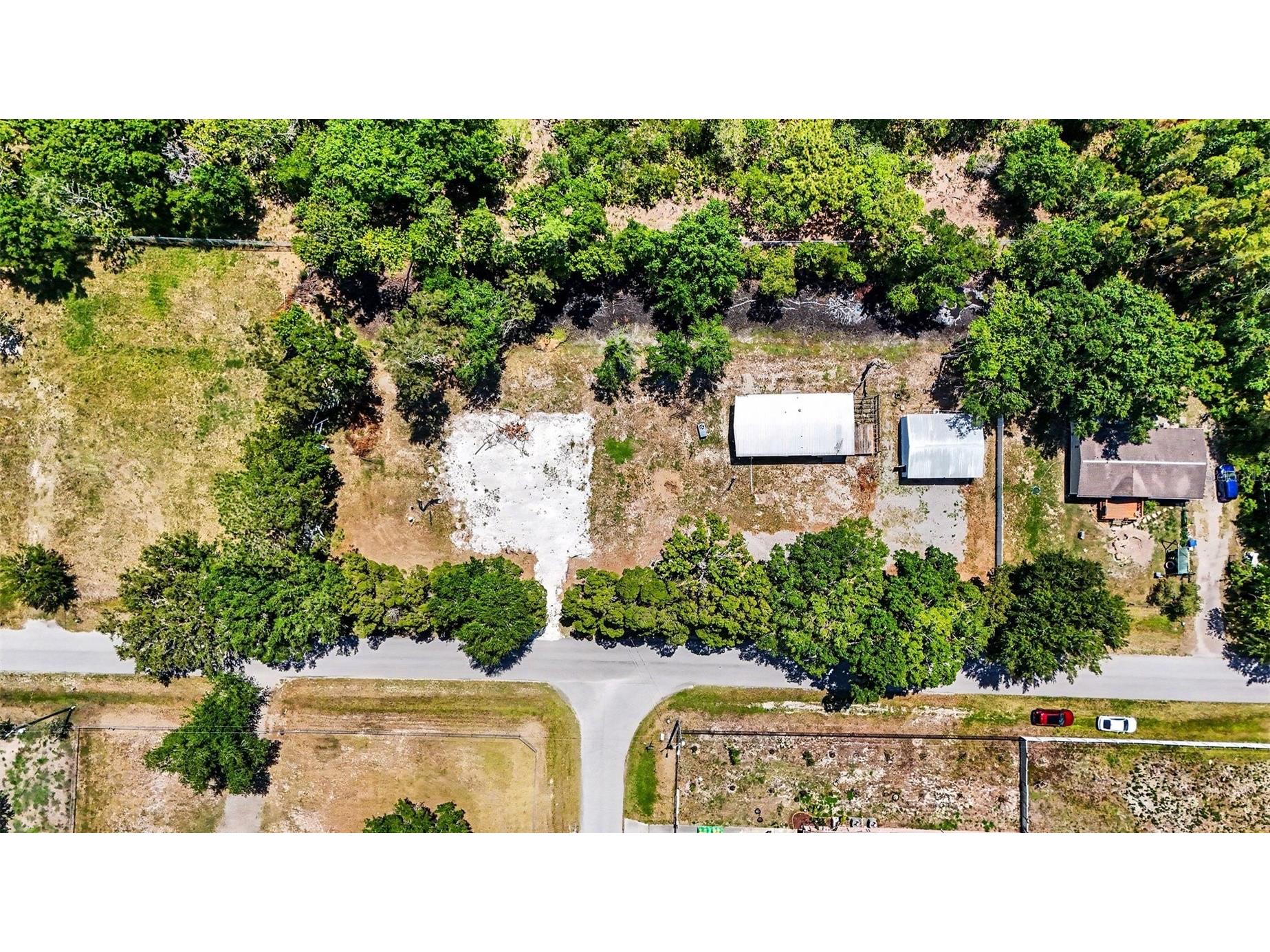 1346 Sierra Pines Blvd Lutz FL 33558 TB8509969 image12