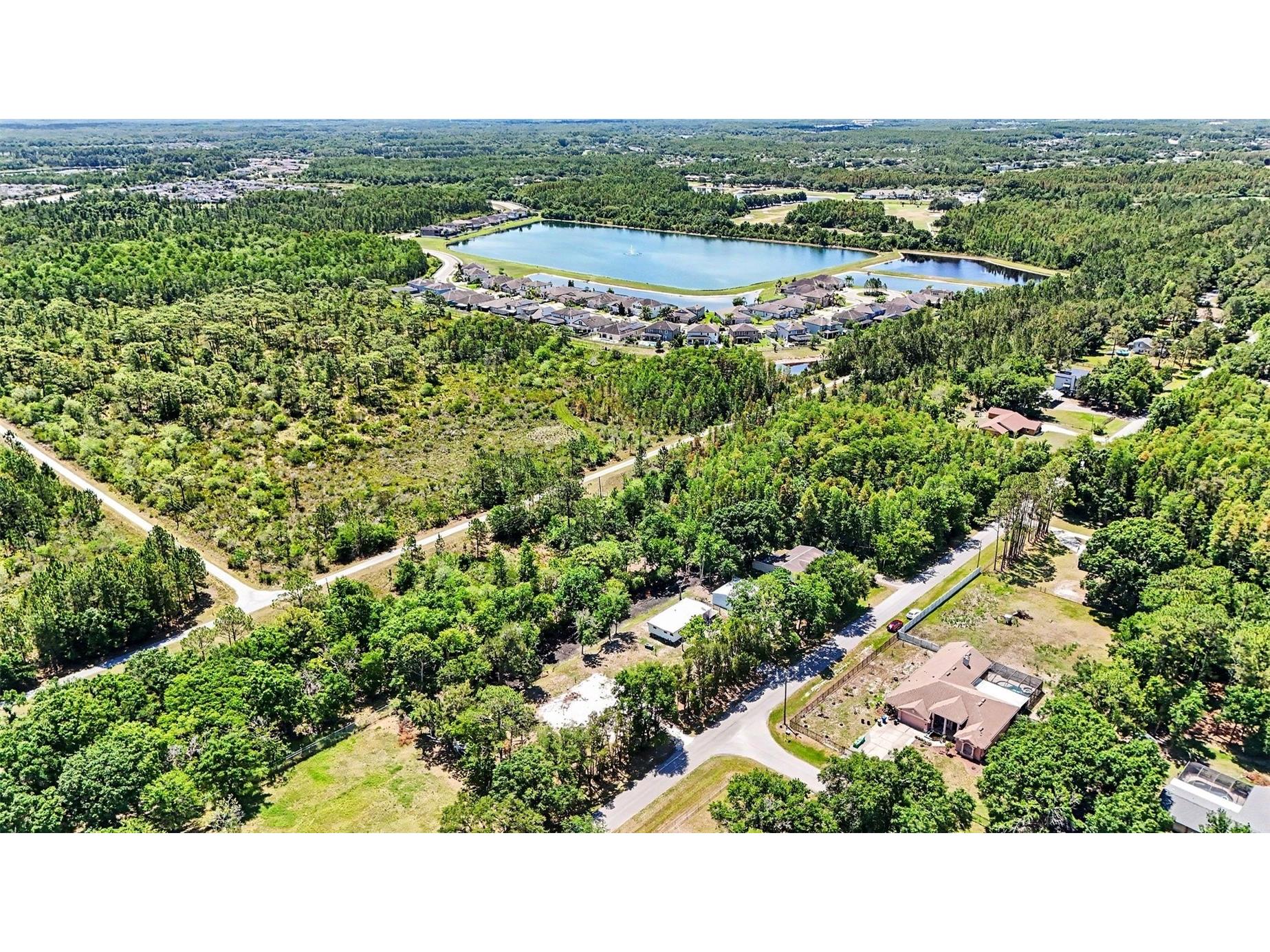 1346 Sierra Pines Blvd Lutz FL 33558 TB8509969 image15