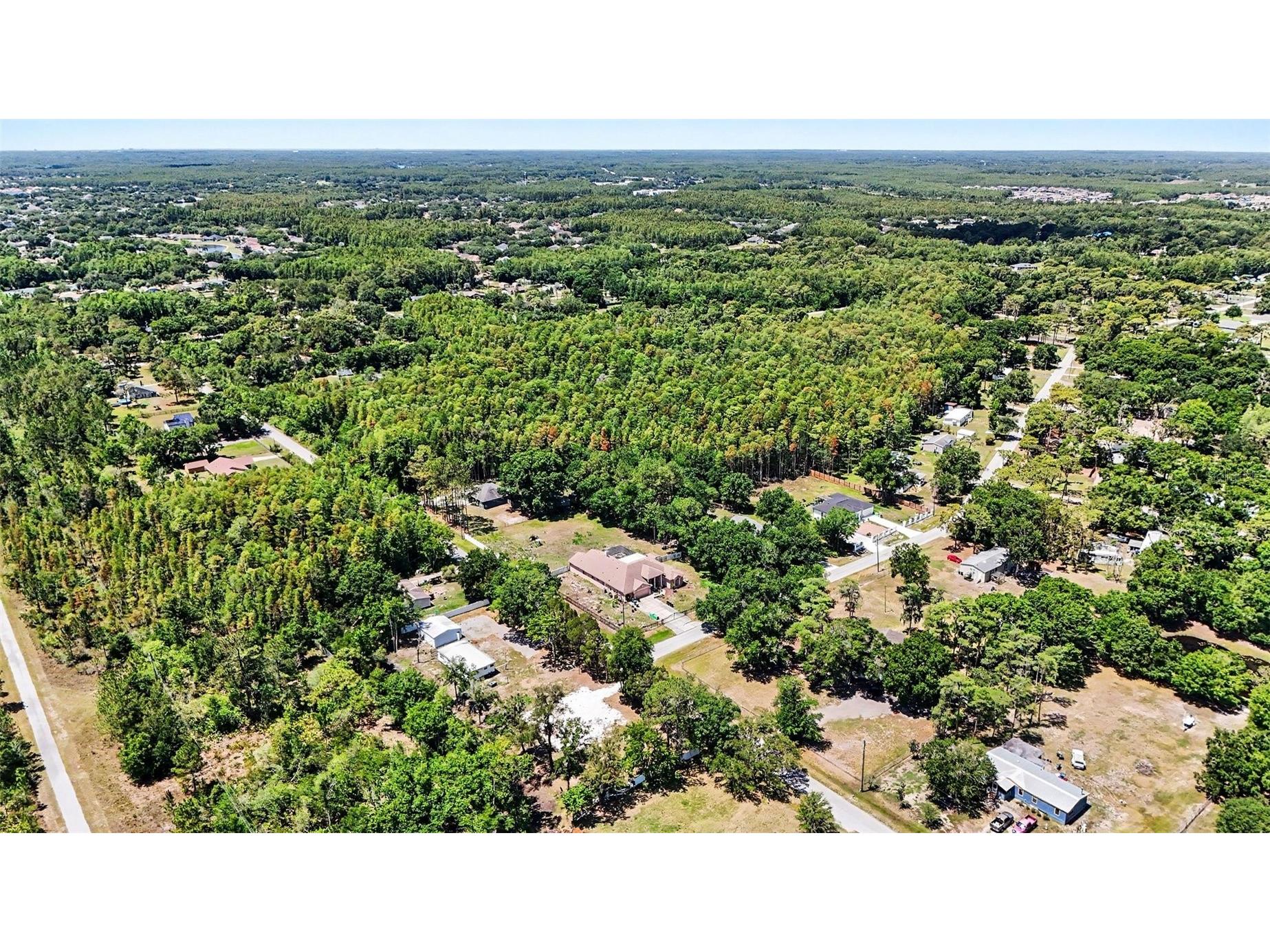 1346 Sierra Pines Blvd Lutz FL 33558 TB8509969 image16