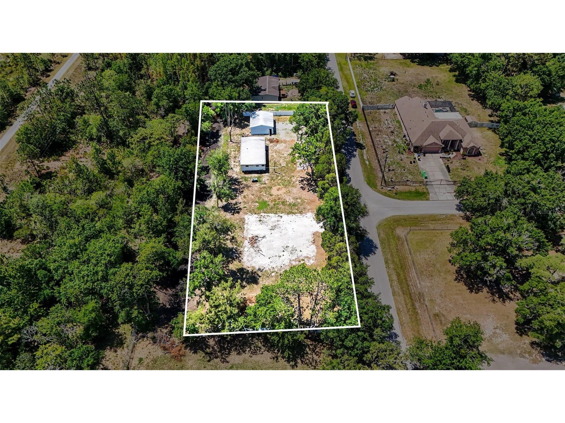 1346 Sierra Pines Blvd Lutz FL 33558 TB8509969 image3