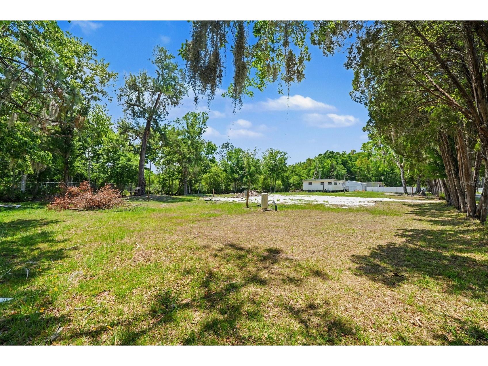 1346 Sierra Pines Blvd Lutz FL 33558 TB8509969 image4